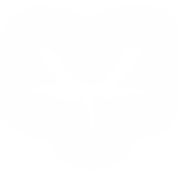 Silk Fly Launcher Logo